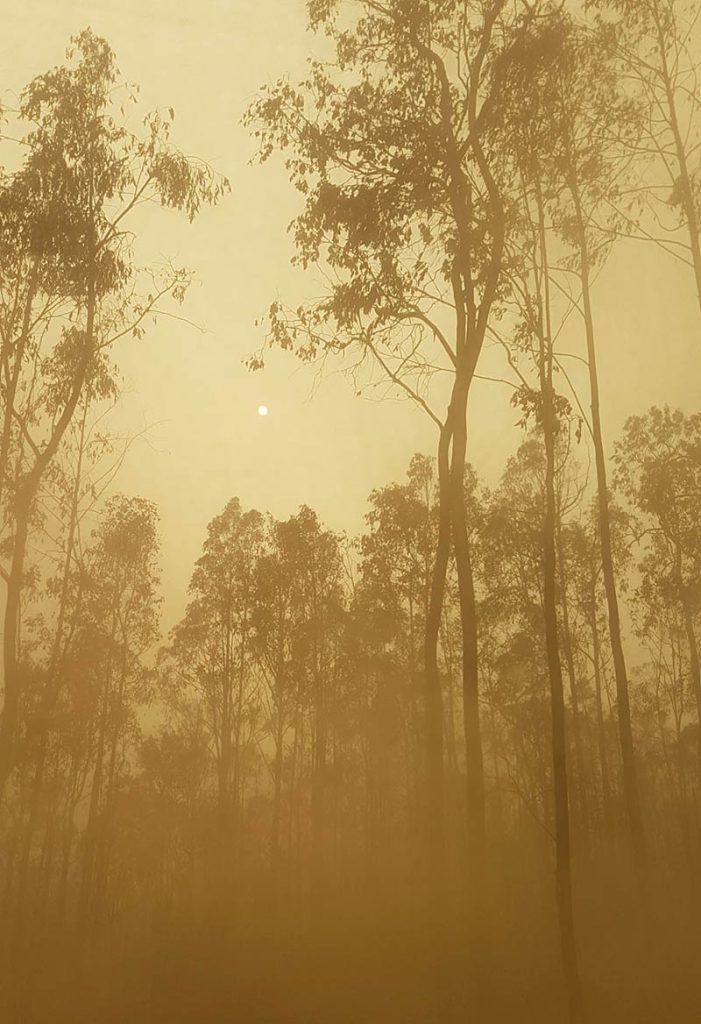 Resized-Smoke-Image-Anita