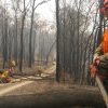 bushfire technicial assist